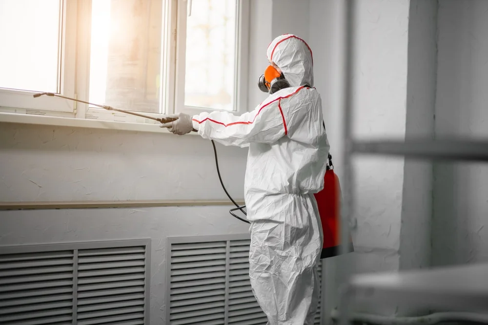 Professional mold remediation services in Kettle Falls, WA
